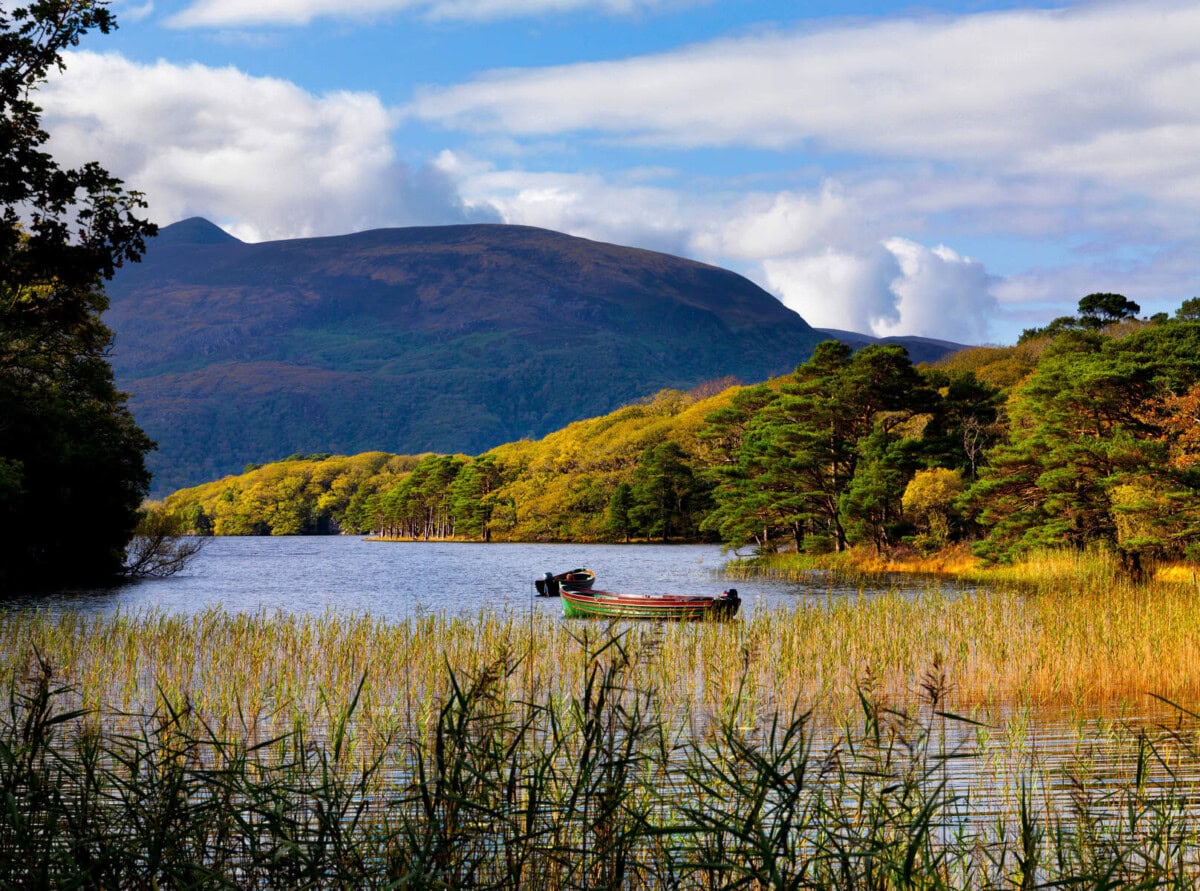 tourism ireland 2011