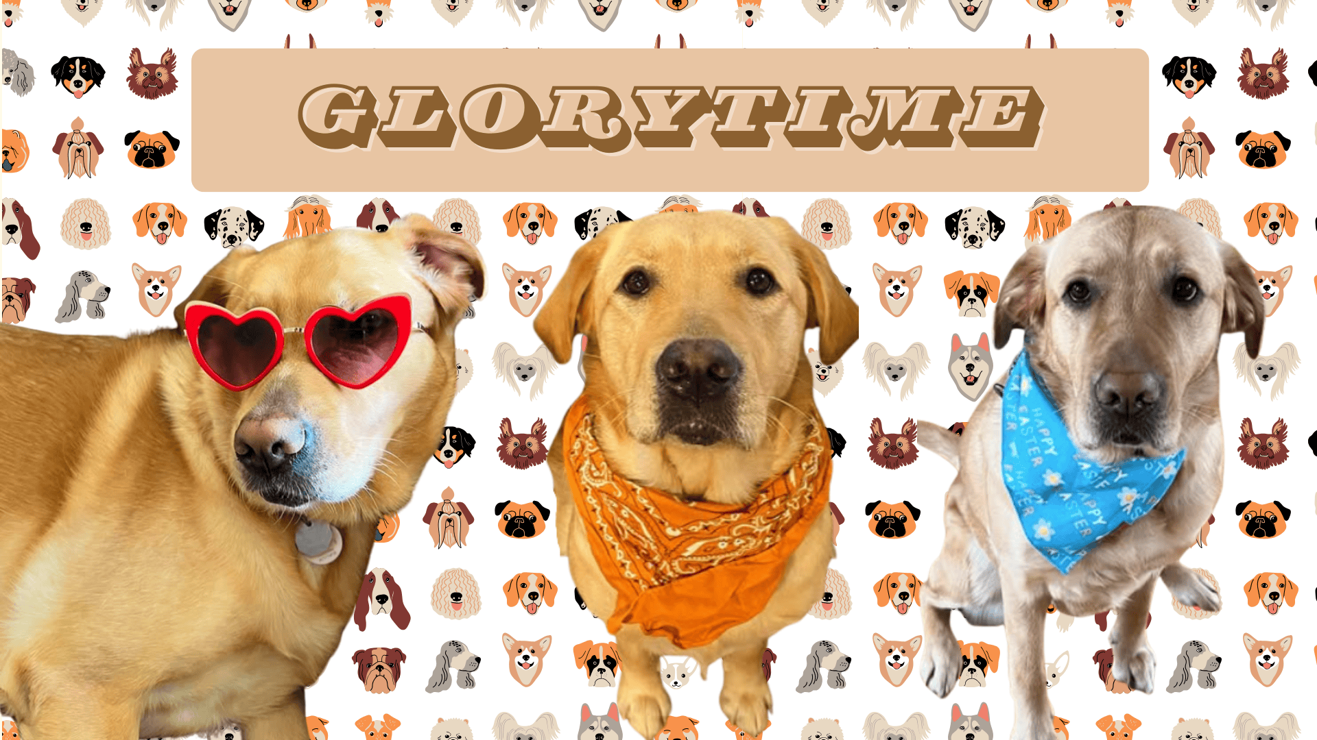 glorytime! (ws)