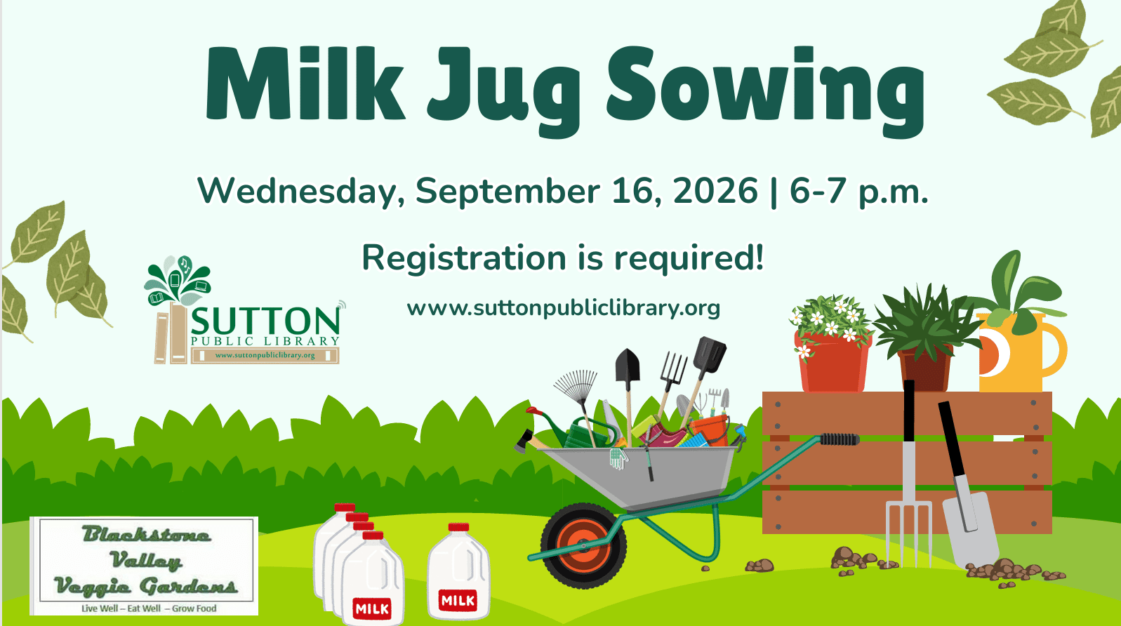 milk jug sowing sept 2026